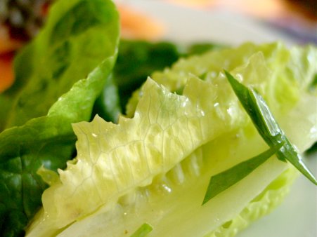 Lemon Tarragon Dressing