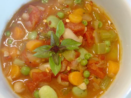 Herbed Vegetable and Bean Soup