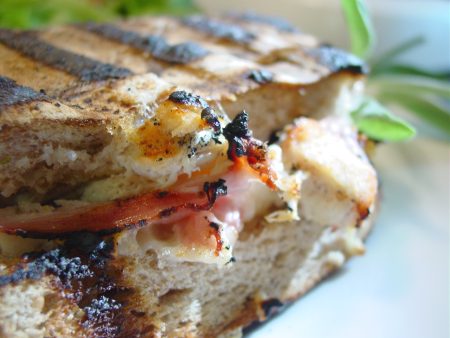 Sage Chicken Panini
